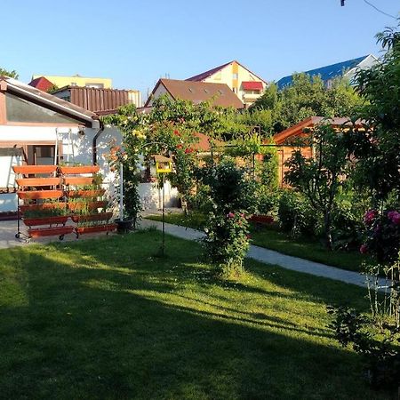 Casa Ienciu Apartamento Sibiu Exterior foto