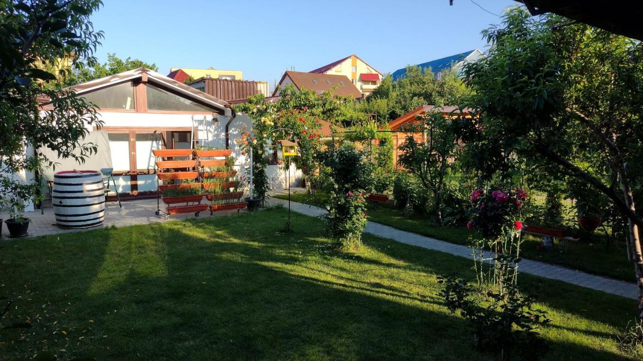Casa Ienciu Apartamento Sibiu Exterior foto