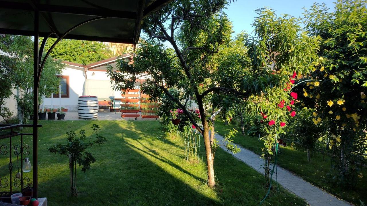 Casa Ienciu Apartamento Sibiu Exterior foto